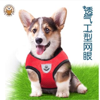 Dog body Harness with leash