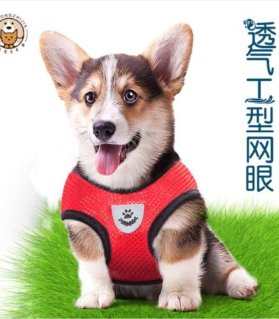 Dog body Harness with leash