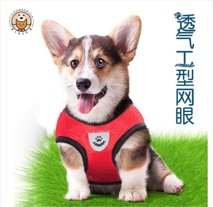 Dog body Harness with leash