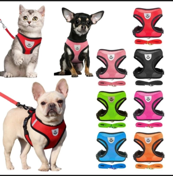 Cat Harness and leash set Cat & Dog Body harness, Small, Medium size