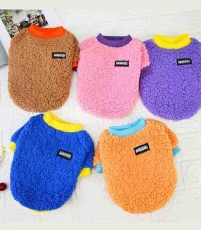 Cat dress for winter
