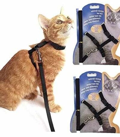 leash Harness