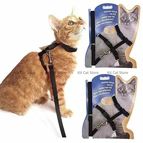 leash Harness