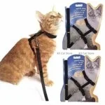 leash Harness