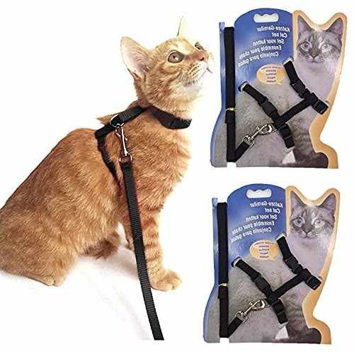 leash Harness