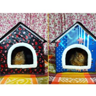 cat house cat bed