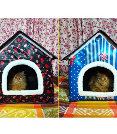 cat house cat bed