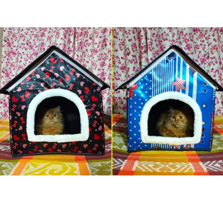 cat house cat bed