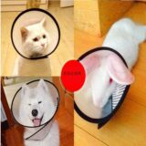 Anti-bite safety Ecollar for cats and dogs.