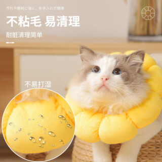 Sunflower Shape Elizabeth collar for cat