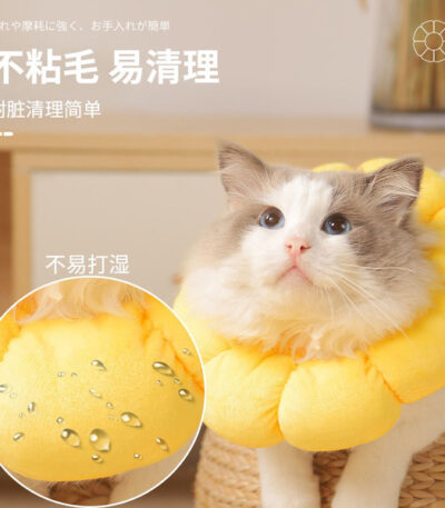 Sunflower Shape Elizabeth collar for cat