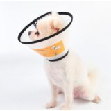Ecollar size 4 for dog