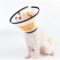 Ecollar size 4 for dog