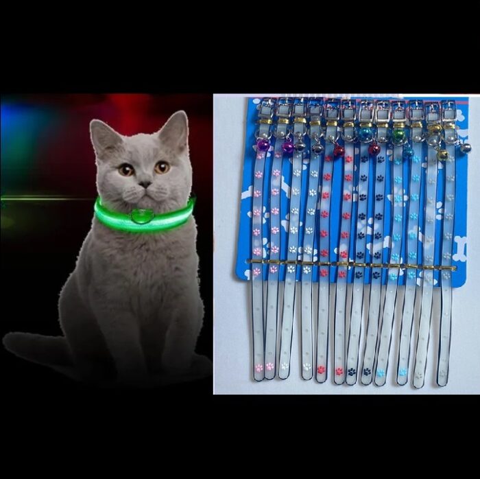 collar paw with border