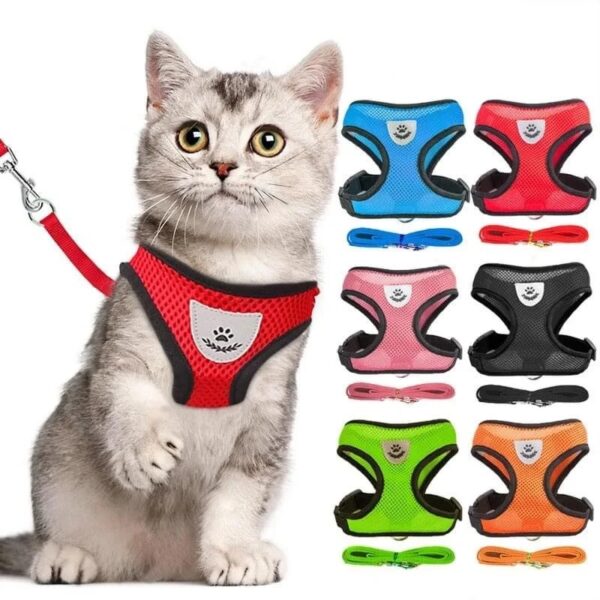 Cat Harness and leash set Cat & Dog Body harness, Small, Medium size - Image 2