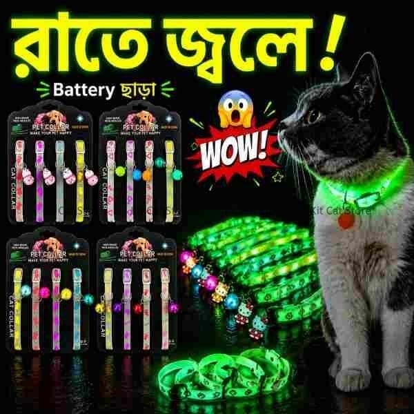 glow in the dark cat collar bangladesh
