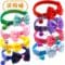Bow collar suitable for cats, puppies, and other small pets.
