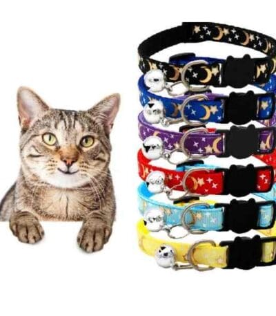 Adjustable collar Moon star for pets