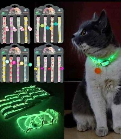 radium collar for pets