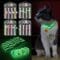 radium collar for pets