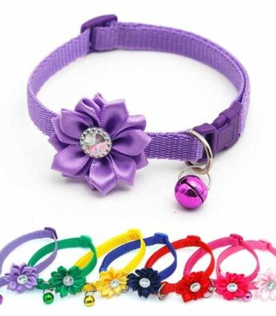 adjustable flower collar for cat