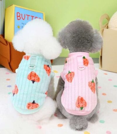 Cat and dog dress cloth strawberry design