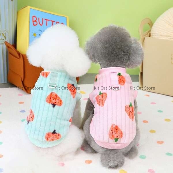 Cat and dog dress cloth strawberry design