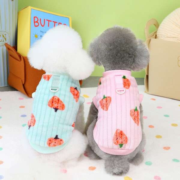 Cat and dog dress cloth strawberry design