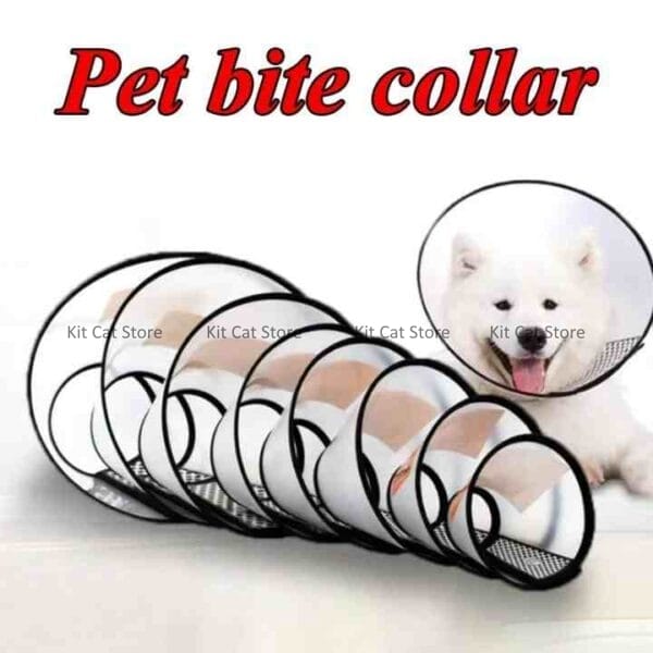 elizabeth collar price in bangladesh