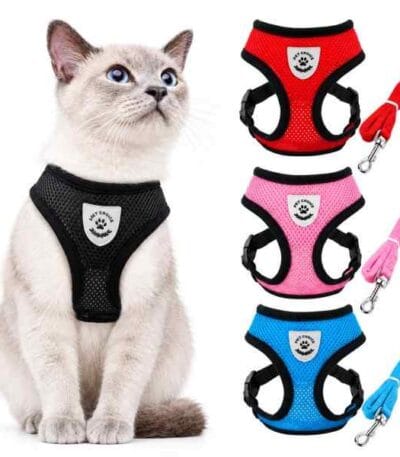 Cats body Harness with leash