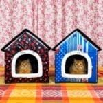 cat house cat bed dochala design