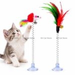 Cats Spring Rainbow feather & rat toy with Suction Cup