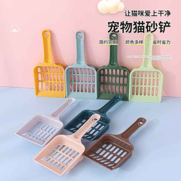 scoop small size