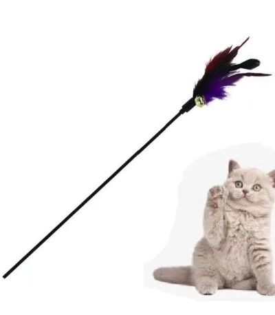 stick feather toy