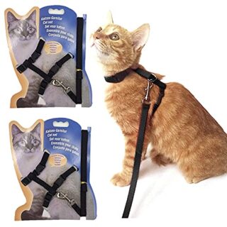 Adjustable harness and leash for cats and dogs.