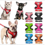 Collars & Harnesses