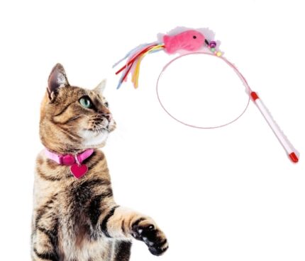 Funny Cat Stick Wire Toy with Bell, Long Wire Mouse, Fish kitten toy, Cat Exercise Play, Fun, Gifts, Cute