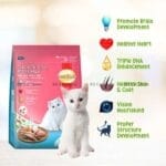 1.1kg kitten food from smartheart