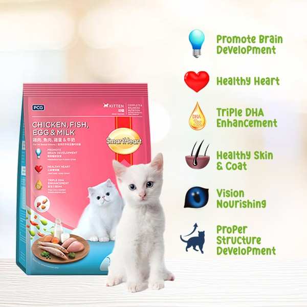 1.1kg kitten food from smartheart