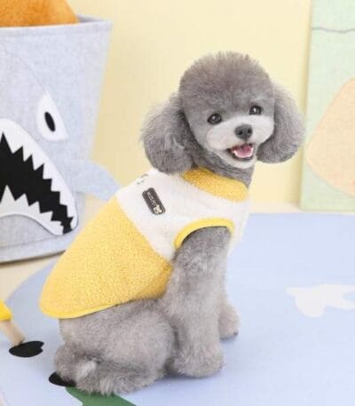 Dress warm for cats and dogs yellow