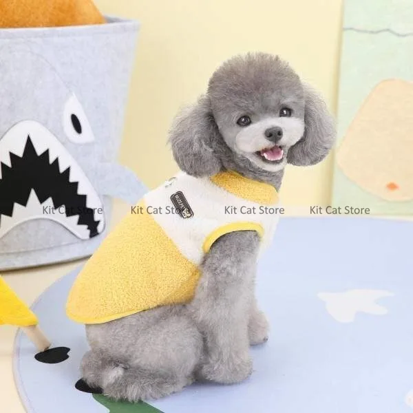Dress warm for cats and dogs yellow