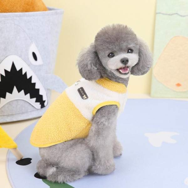 Dress warm for cats and dogs yellow