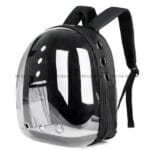 cat carring bagpack black