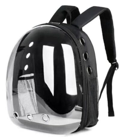 cat carring bagpack black
