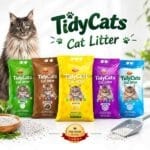 litter-tidy-cats