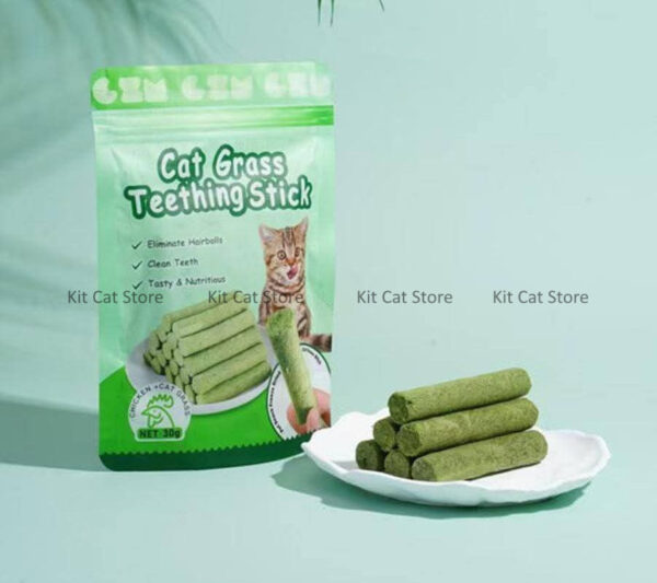Natural Cat Grass Dental Teething Sticks with Catnip – Molar Cleaning Chicken-Flavored Pet Chew (30gm)