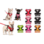 Collars and Harnesses