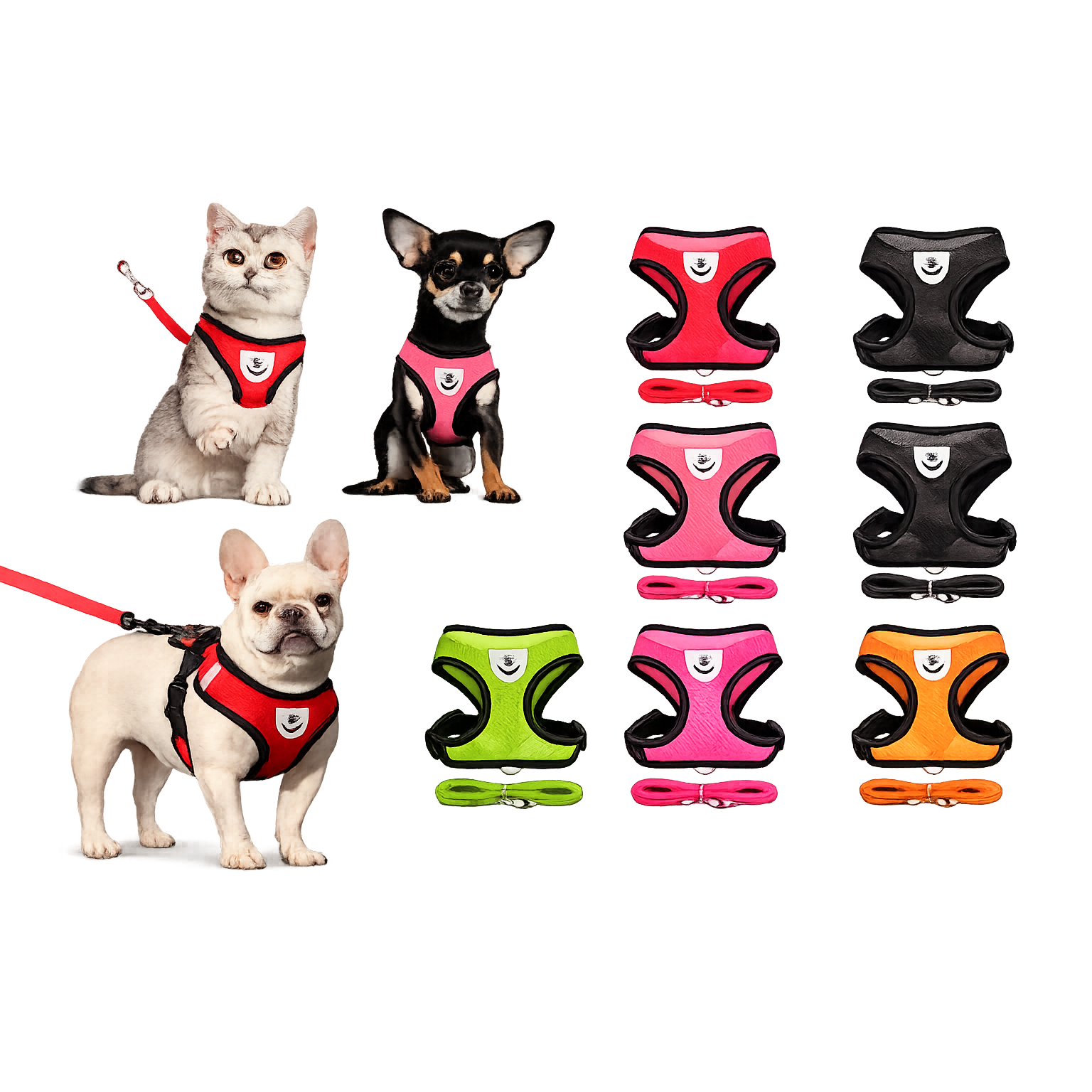 Collars and harness category