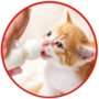 Milk replacer for rescued kitten and pets