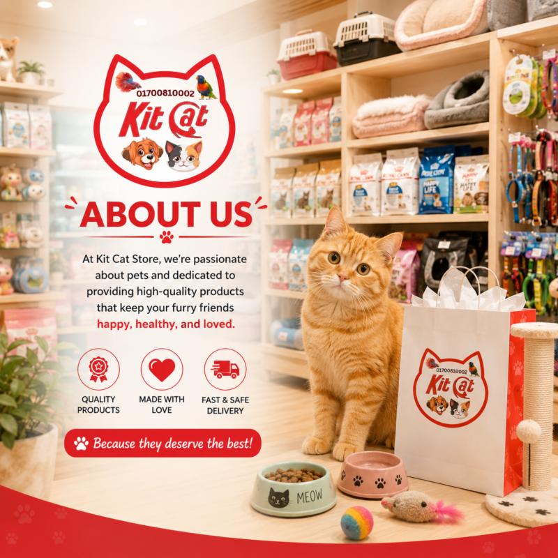 about kit cat store